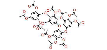 Tetrafuhalol A undecaacetate